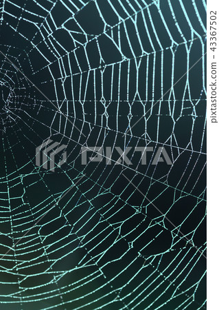 cobweb - an abstract background cobweb - an abstract background 43367502