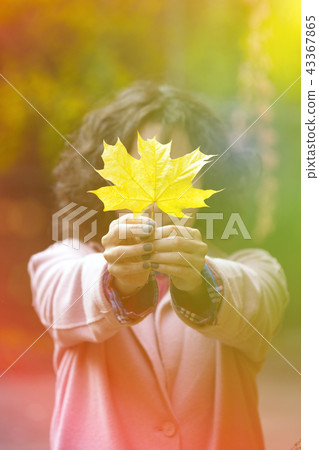 girl holds a yellow leaf 43367865