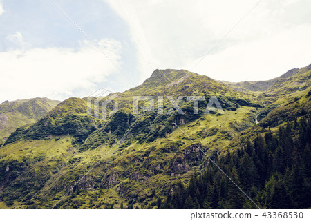 Fagaras mountains in a sunny day 43368530