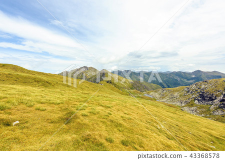 Paltinului saddle in a cloudy day Paltinului saddle in a cloudy day 43368578