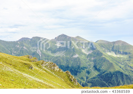Fagaras Mountains from top view Fagaras Mountains from top view 43368589