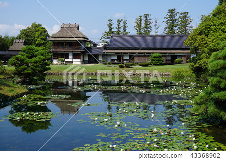 岡山縣津山市的日式庭園“Sougen天堂”：睡蓮開花的時候 43368902