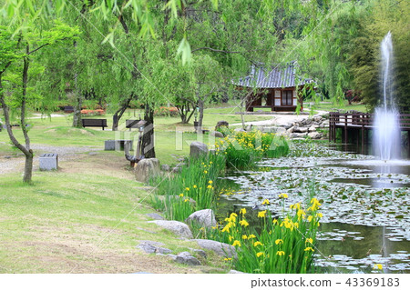 Bamboo grove, Sunset, Hanok, Garden, Lake, Pond, Damian Bamboo grove, Sunset, Hanok, Garden, Lake, Pond, Damian 43369183
