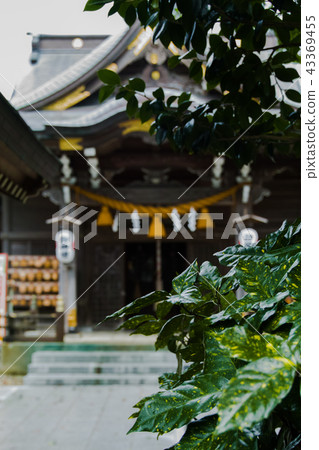 神社 神社 43369455