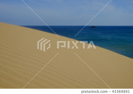 鳥取沙丘美好的風景 43369891