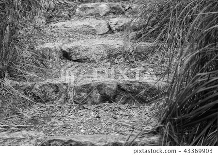 Stone steps , black and white Stone steps , black and white 43369903
