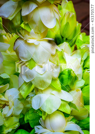 Decorative hanging garland white and red flower. 43370577