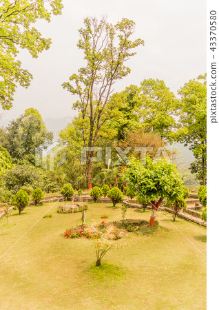 garden plants flowers around green field of grass garden plants flowers around green field of grass 43370580