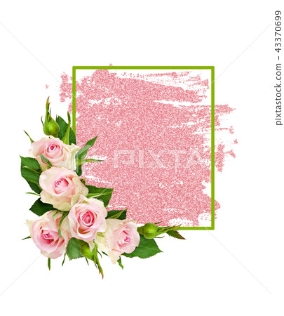 Pink rose flowers and frame on glitter brushstroke Pink rose flowers and frame on glitter brushstroke 43370699