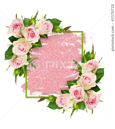Pink rose flowers and frame on glitter brushstroke Pink rose flowers and frame on glitter brushstroke 43370728