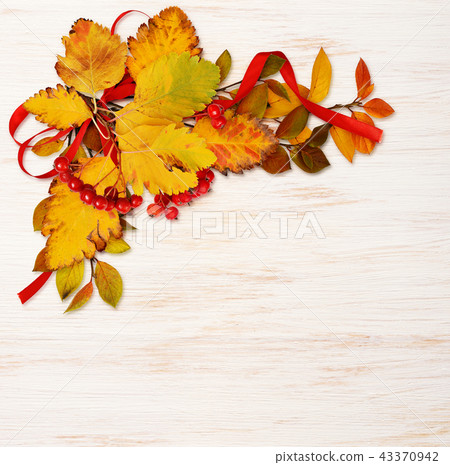 Colorful autumn leaves and red berries on wood 43370942