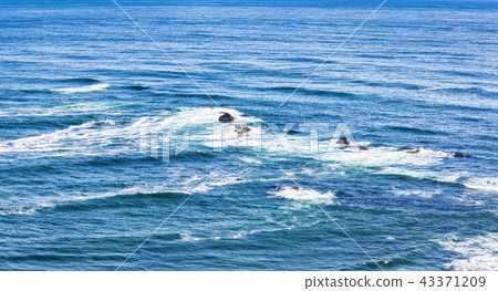 Aerial view from above of ocean Aerial view from above of ocean 43371209