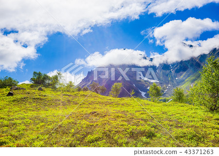 Summer view of volcano on Kamchatka Summer view of volcano on Kamchatka 43371263