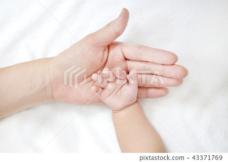 媽媽的大手，親情，母親的形象，母親的小手像新生嬰兒一樣包裹著 43371769