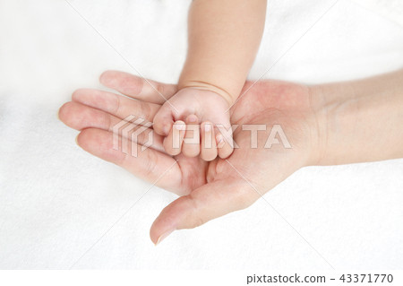 Mother's big hand, affection, motherhood image of mother's small hand wrapped like a newborn baby Mother's big hand, affection, motherhood image of mother's small hand wrapped like a newborn baby 43371770