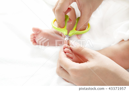 Parenting method, Newborn toenails, nail care procedure, close-up photo of the method Parenting method, Newborn toenails, nail care procedure, close-up photo of the method 43371957
