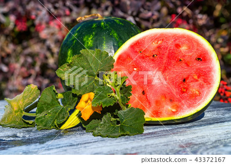 Slices and half of fresh watermelon on wooden board 43372167