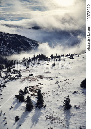 Sunbeams passing through clouds, winter landscape 43372910