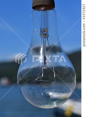 light bulb light bulb 43372927
