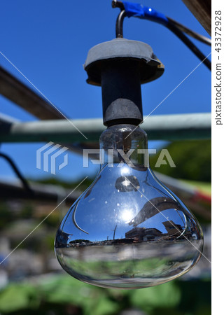 Lighting Lighting 43372928