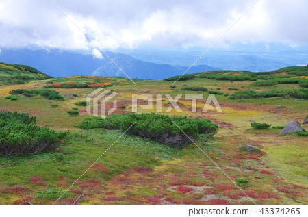 Daisetsuyama Asahidake Daisetsuyama Asahidake 43374265