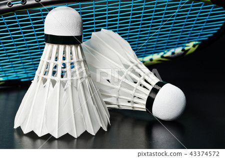 Shuttlecock and badminton racket. 43374572