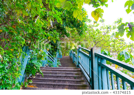 台北圓山飯店綠蔭通道 台北圓山ホテル山林歩道 Tree Trail 43374815