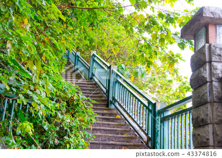 台北圓山飯店綠蔭通道 台北圓山ホテル山林歩道 Tree Trail 43374816