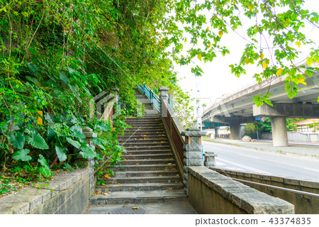 台北圓山飯店綠蔭通道 台北圓山ホテル山林歩道 Tree Trail 43374835