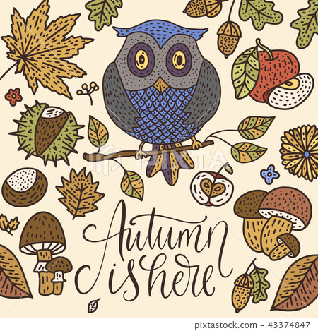 Cozy fall vector illustration. Autumn vector lettering card. Cozy fall vector illustration. Autumn vector lettering card. 43374847