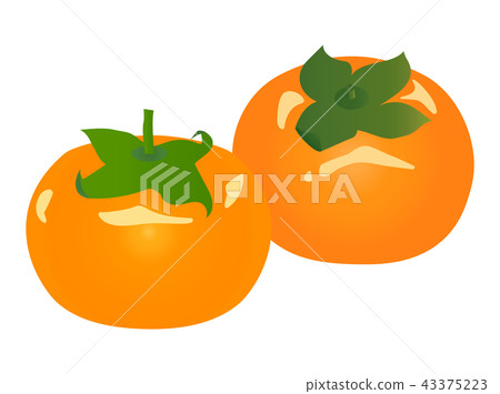 persimmon 43375223