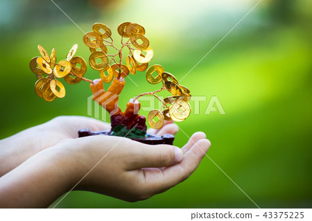 Money tree children hands 43375225