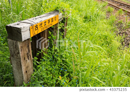 Tsuyukusa的古代人物平交道口和叢 43375235