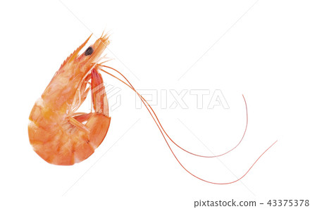 Red cooked prawn or tiger shrimp isolated on white background 43375378