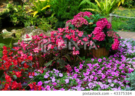Shilin Official Residence Garden Taiwan Shilin Official Residence Plant Presidential Residence Garden Shilin Official Residence Garden Taiwan Shilin Official Residence Plant Presidential Residence Garden 43375384