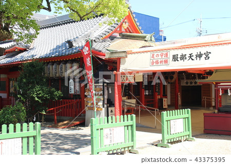 Hattori Tianjin Hattori Tianjin 43375395