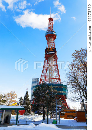 從大通公園觀看札幌電視塔與雪景 從大通公園觀看札幌電視塔與雪景 43375720
