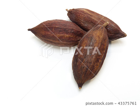 Three Cocoa pod on a white Three Cocoa pod on a white 43375761