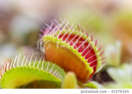 Fly truss Fly truss 43376164