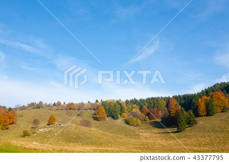 Autumn mountain landscape 43377795