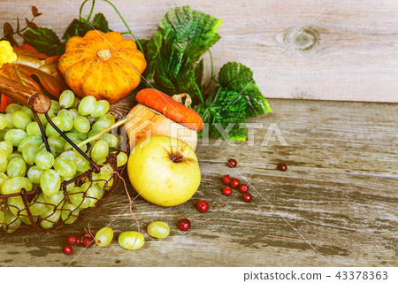 Rich harvest of various fruits and vegetables Rich harvest of various fruits and vegetables 43378363