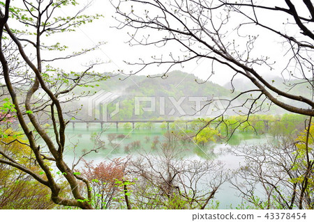 Morning Lake Ashiaki(岩手縣) Morning Lake Ashiaki(岩手縣) 43378454