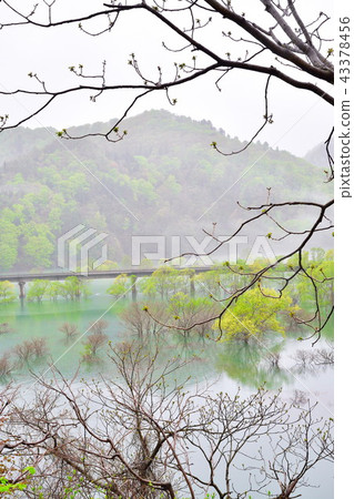 Morning Lake Ashiaki (Iwate Prefecture) Morning Lake Ashiaki (Iwate Prefecture) 43378456