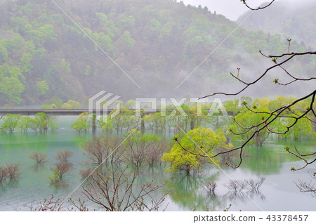 Morning Lake Ashiaki (Iwate Prefecture) Morning Lake Ashiaki (Iwate Prefecture) 43378457