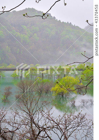 Morning Lake Ashiaki (Iwate Prefecture) Morning Lake Ashiaki (Iwate Prefecture) 43378458