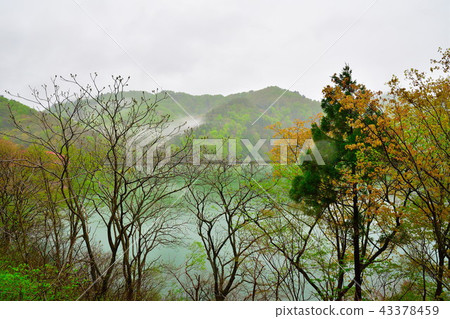 Morning Lake Ashiaki(岩手縣) Morning Lake Ashiaki(岩手縣) 43378459