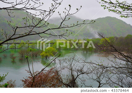 Morning Lake Ashiaki(岩手縣) Morning Lake Ashiaki(岩手縣) 43378464