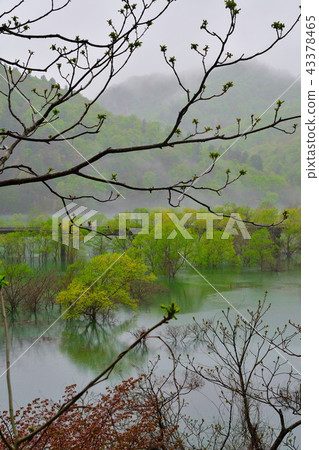 Morning Lake Ashiaki（岩手縣） 43378465