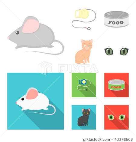 Mouse, pet leash, pet food, kitten. Cat set collection icons in cartoon,flat style vector symbol 43378602