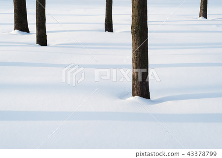 Simple winter landscape with trees in the park Simple winter landscape with trees in the park 43378799